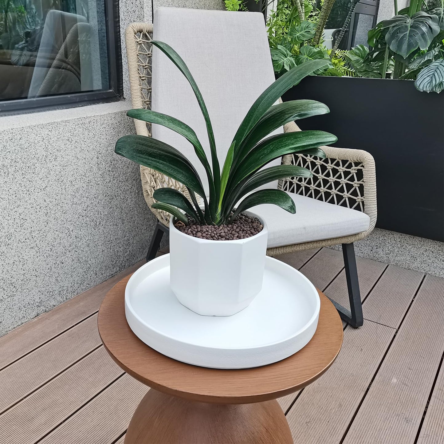 Fzfeiyy Plant Saucer for Indoors - 12 Inch Ceramic Plant Saucer Plant Water Catcher Tray Plant Pot Saucer Plant Drainage Tray, Durable Sturdy Flower Pot Saucers (Frosted White)
