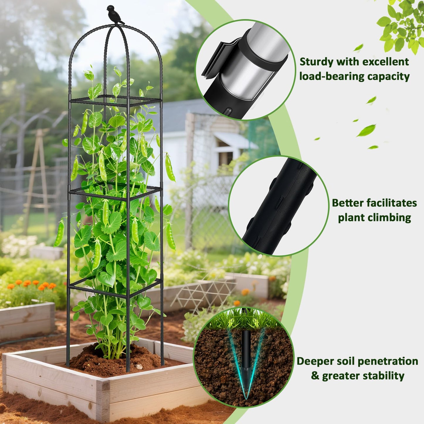 Square Tomato Cages for Garden, 6.2 FT Cucumber Trellis for Flowers, Grape, Pea, Rose, Bean, Rustproof Plastic Coated Metal Plant Support for Potted Plants Indoor Outdoor - 2PC Obelisk Trellis