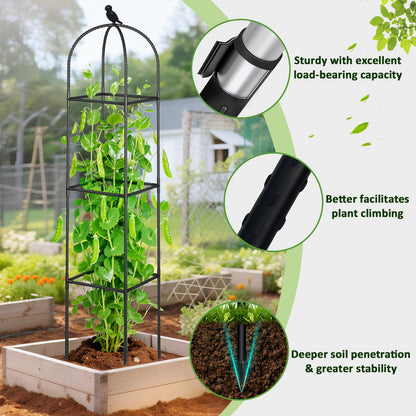 Square Tomato Cages for Garden, 6.2 FT Cucumber Trellis for Flowers, Grape, Pea, Rose, Bean, Rustproof Plastic Coated Metal Plant Support for Potted Plants Indoor Outdoor - 2PC Obelisk Trellis