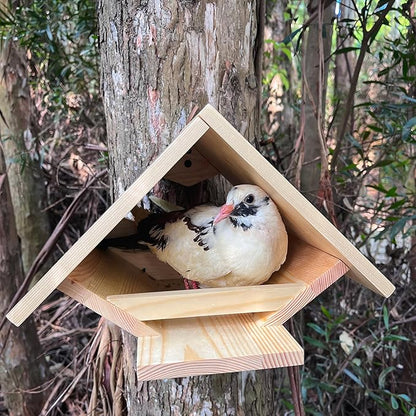 Dove Nesting Platform for Outside - Mourning Dove Nesting Box, Wooden Bird Nest for Pigeons, Open Bird Nesting Platform for Backyard Garden by Decoribles