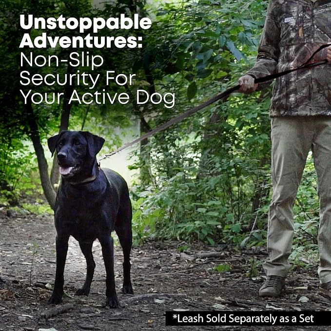 Regal Dog Products Small Black Waterproof Dog Collar and Leash Set | Heavy Duty Double Buckle & D Ring - 5'ft Leash | Adjustable Biothane Dog Collar | Chew Resistant Waterproof Collar for Dogs