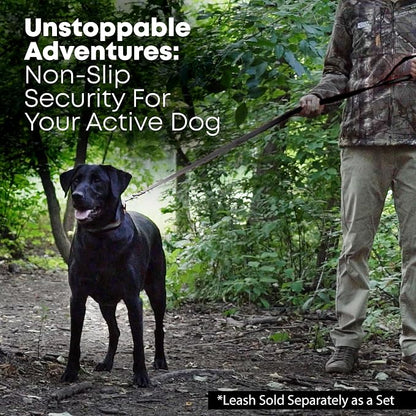 Regal Dog Products Small Black Waterproof Dog Collar and Leash Set | Heavy Duty Double Buckle & D Ring - 5'ft Leash | Adjustable Biothane Dog Collar | Chew Resistant Waterproof Collar for Dogs
