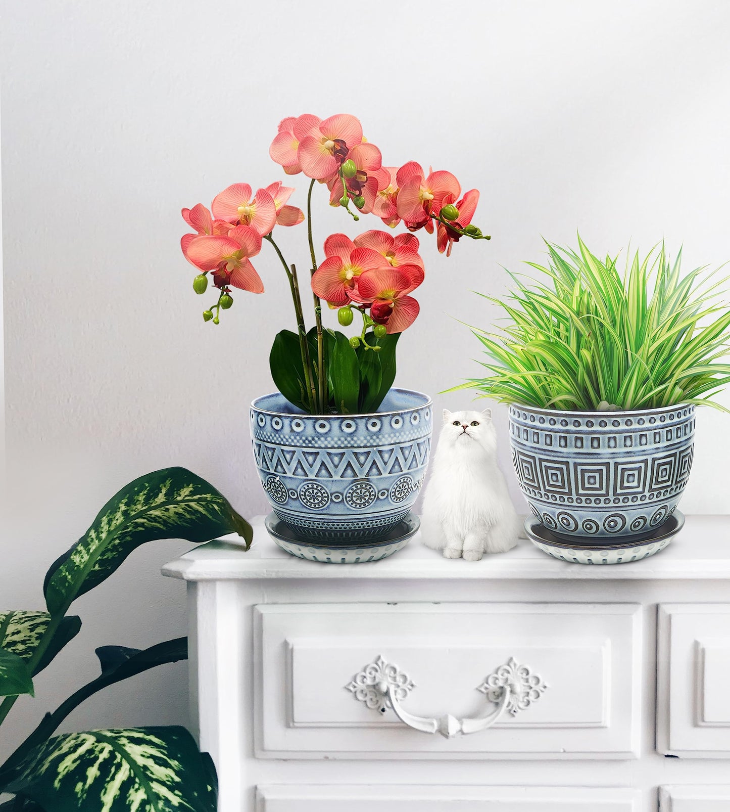 CHAMARKS Ceramic Plant Pots. Flower Pots for Plants. Planter Pots with Drainage Holes and Saucers for Indoor Plants. 5.5 inches Wide, 4.3 inches Deep. Set of 2.