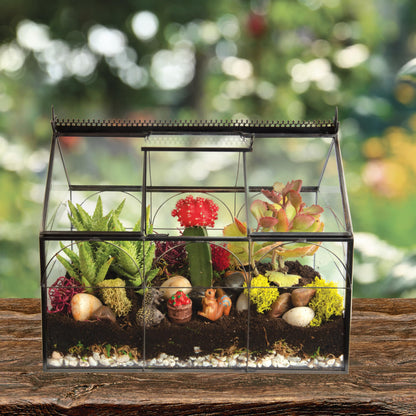 D'Eco Glass Greenhouse Centerpiece (10x4.5x9) - Spring Home Decor & Wedding Letterbox - Tabletop Geometric Planter Terrarium - Fill with Succulents, Moss, Flowers for Plant Lovers