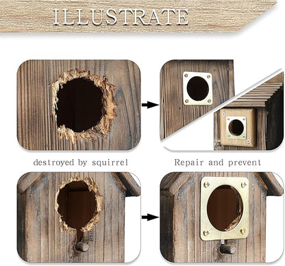 6-piece Metal Bluebird House Predator Guard，Metal Birdhouse Guard，Bird House Hole Protector Guard for Eastern Bluebird Box （3.81 cm Opening）