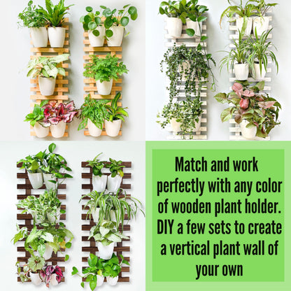 LaLaGreen Bundle- 10 Pack, 5 Inch Self Watering Plastic Pot + 2 Pack, 15.7 Inch Rustic Wooden Plant Holder Wall Mount Vertical Live Eco Garden System Trendy Herb Orchid Airplant Hanging Frame Display