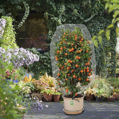 Alpurple 2Pcs 4.6 x 3.9 Ft Garden Plant Netting Mesh Barrier Bags- Fruit Tree Net with Drawstring- Tomato Plant Protective Netting Cover for Protect Plant Fruits Citrus Flower from Insect Bird Eating