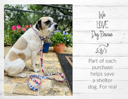 Lucky Love Dog Martingale Collar, Premium Fun Girl No Slip Collars, Strawberry Martingale Large Dog Collar, Great for Whippets, Greyhounds, and More (Sweet Berry, Large)