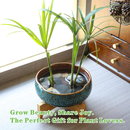 Qijoys 2 Pcs Lotus Bowl Planter with Base Ceramic Hydroponic Planter Water Lily Bowl for Planting Aquatic and Indoor Plants Household Ceramic Basin Decor(Blue)