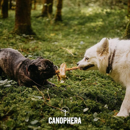 Canophera Dog CHEW Made of Coffee Wood and Coconut Rope (Medium)