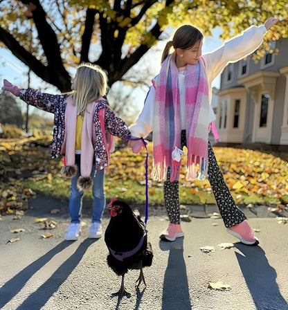 3 Pack Chicken Harness and Leash Set Adjustable Hen Vest with Matching Belt Breathable Mesh Training Harness Pets Leash for Hens Duck Goose Small Pet-Green&Purple&Blue,M