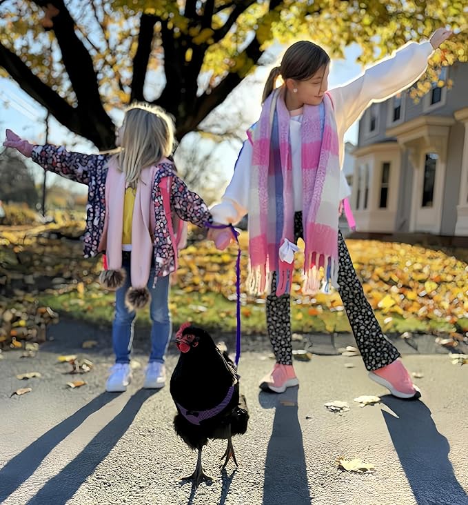 3 Pack Chicken Harness and Leash Set Adjustable Hen Vest with Matching Belt Breathable Mesh Training Harness Pets Leash for Hens Duck Goose Small Pet-Green&Purple&Blue,L