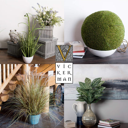 Vickerman Everyday 7.5" Indoor Artificial Green Succulents - Geometric Glass Terrarium - Pre-Made Durable Faux Plants in Glass Terrarium - Maintenance Free