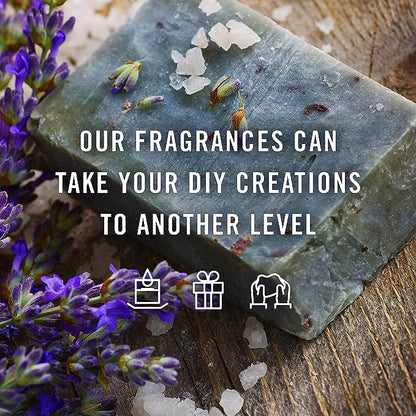 P&J Trading Fragrance Oils for Diffusers for Home Spa Set Fragrance Scents for Candle Making - Soap Making Supplies - Car Diffuser Scents - Essential Home Gift Set - Aloe, Eucalyptus & More