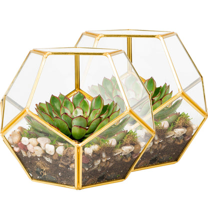 D'Eco Glass Geometric Plant Terrarium (Set of 2) - Indoor Tabletop Gold Sphere Planter Terrarium - Succulents, Air Plants, Moss - Home Garden Office Wedding Decor - Gift Idea for Plant Lovers