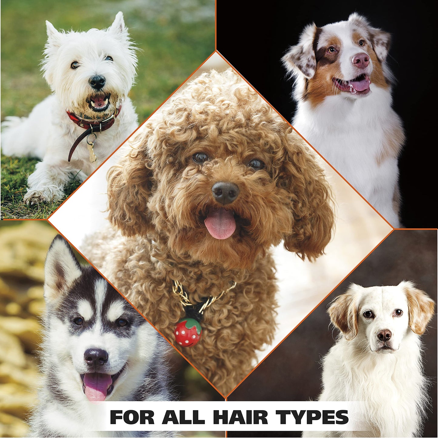 Wahl USA Dry Skin & Itch Relief Pet Shampoo for Dogs – Oatmeal Formula with Coconut Lime Verbena Scent - 64 Oz - Model 821004-050