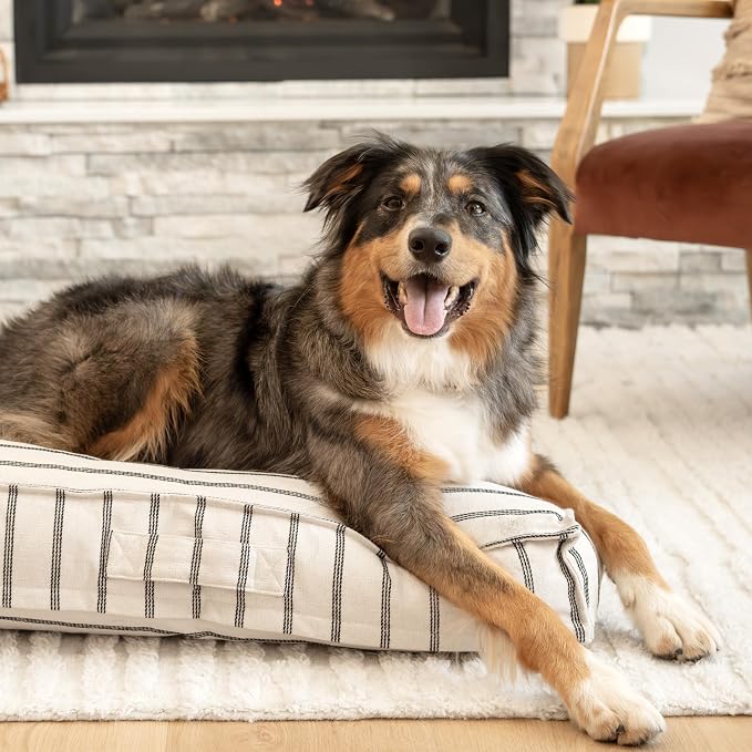Harry Barker Striped Pillow Dog Bed, Luxury Washable Pet Bed with Recycled Fill, Soft Square Cushion Bed for Medium Dogs & Cats, Cream & Black