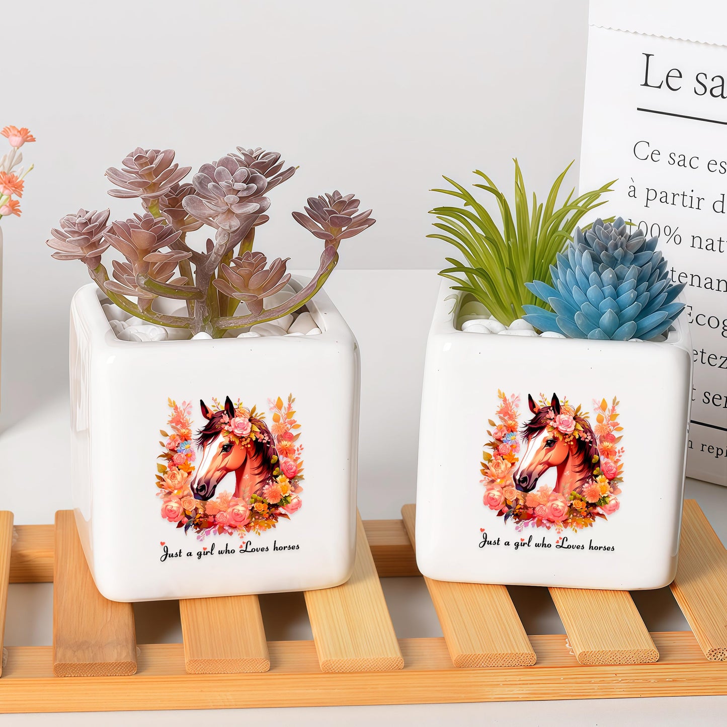BJDAMAI Horse Succulent Planter Flower Plant Pot Small, Gifts for Women Teens Girls Kids, Horse Lovers Themed Stuff Accessories Things Decor Merch, Home Office Table Desk Decoration!