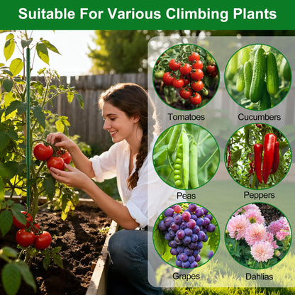 WAENLIR Garden Stakes16 Inch 72 Pack, Tomato cage DIY 4ft 5ft 6ft 7ft 8ft Plant Support Stakes with Connectors and Clips, Plastic Coated Metal Sticks for Tomato Indoor Outdoor