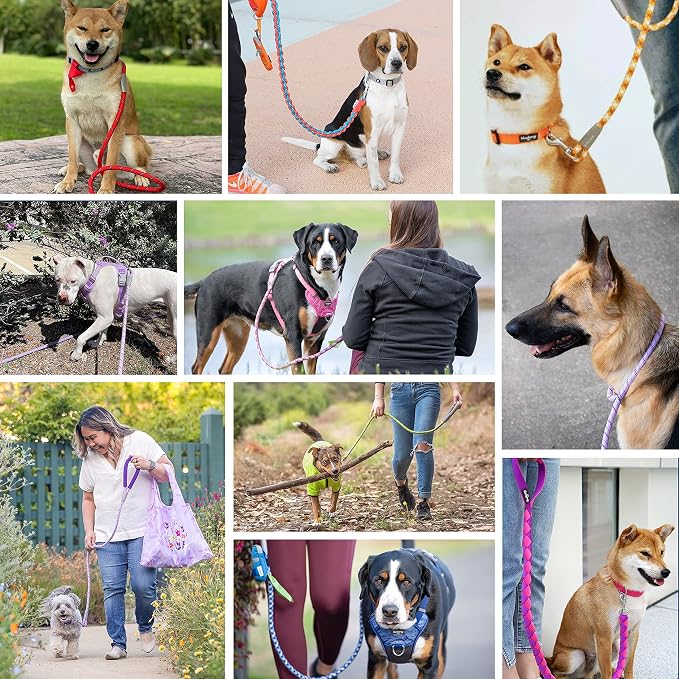 Blueberry Pet Dog Leash - Puppy Essentials with Comfortable Neoprene Handle | Dog Leashes for Large Dogs Heavy Duty | 4ft Strong Rope Leash in Rouge Red, Durable & Eco-Friendly