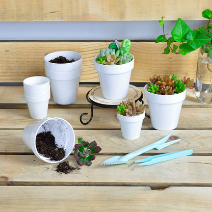 Youngever 10 Pack 3 Inch Mini Plastic Planters Indoor Flower Plant Pots, White Gardening Pot with Drainage for All House Plants, Flowers, Herbs, Succulents, NO Plant Included (Classic)