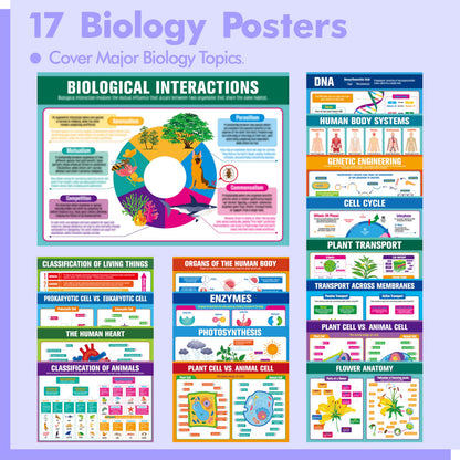 17 Laminated Biology Posters, Human Body System, Cell Anatomy, DNA, Photosynthesis, Educational Science Charts For Middle & High School, Learning Tool For Classroom, Bulletin Board, Room, 11”x16”