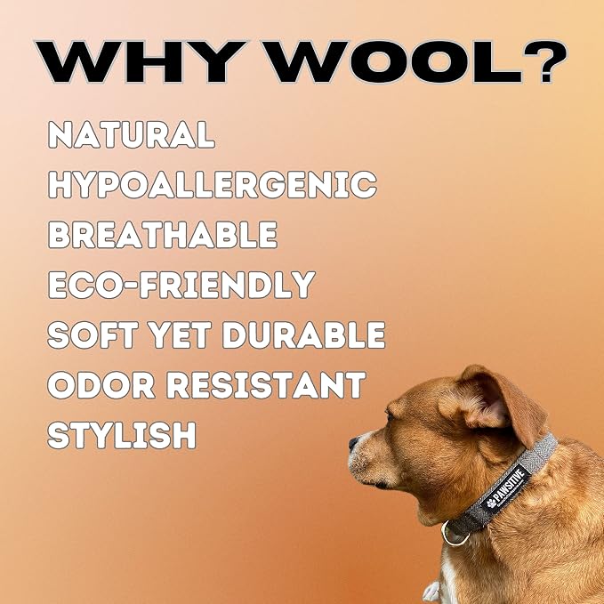 Pawsitive Wool Dog Collar - Hypoallergenic Dog Collar, Great Dog Collar for Sensitive Skin, Soft Collar for Dogs, Soft Organic Dog Collar Eco-Friendly (Medium, Beige and Leash)