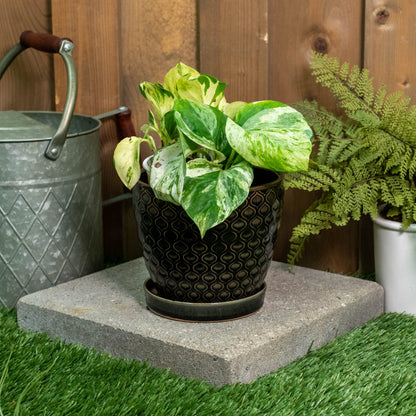 Napco Lattice Black Glazed 5.25 x 6 Inch Ceramic Flower Pot Planter with Saucer