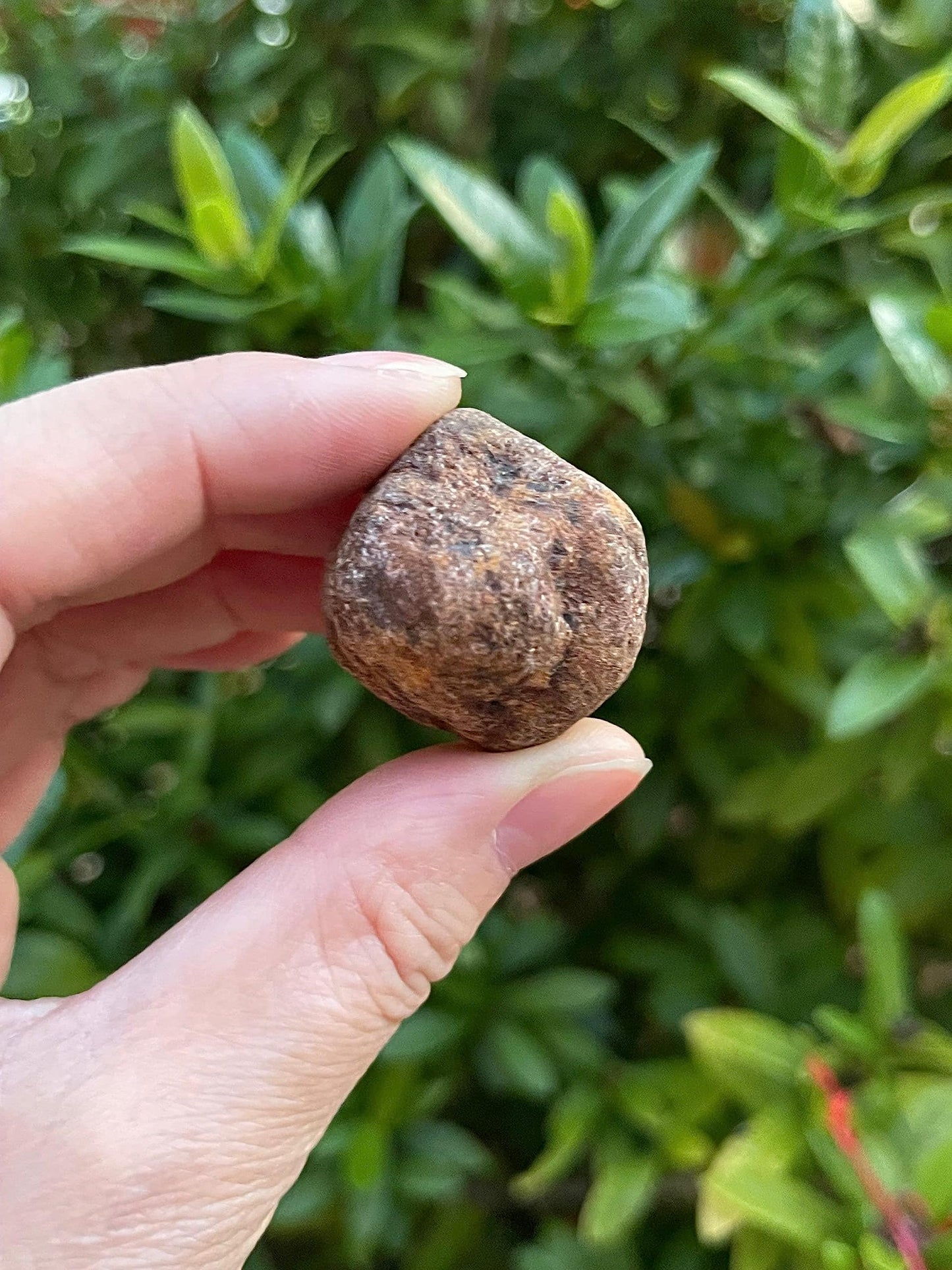 GAF TREASURES Wholesale Raw Garnet Crystals, Natural Garnet Stone, Natural Rough Garnet Crystals, Garnet Rough, Garnet Healing Crystals (Garnet, 0.5 Pound)