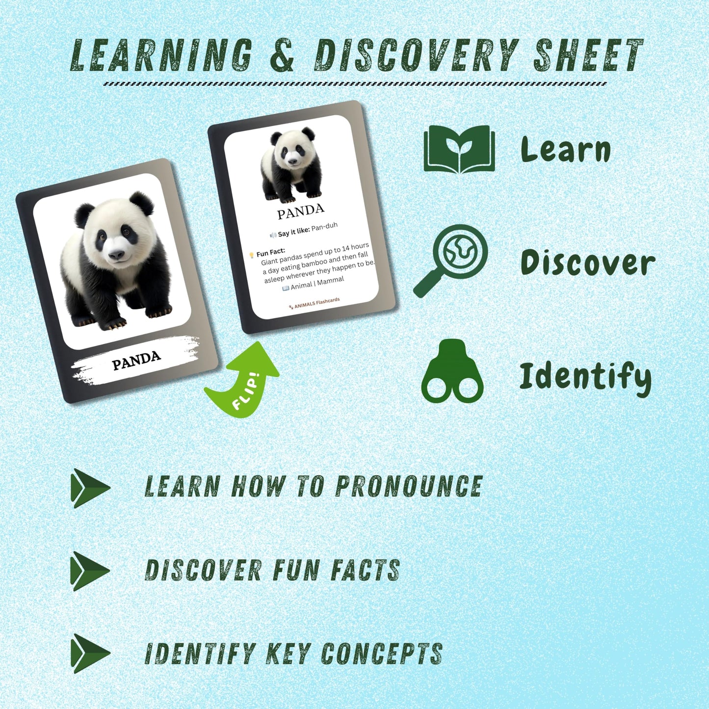 The Biblio Hub Animals Flashcards – Non-Tearable Synthetic Learning Cards for Toddlers, Preschool & Kindergarten, Double-Sided Set
