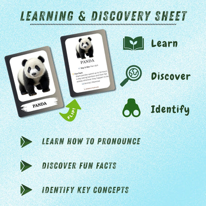 The Biblio Hub Animals Flashcards – Non-Tearable Synthetic Learning Cards for Toddlers, Preschool & Kindergarten, Double-Sided Set