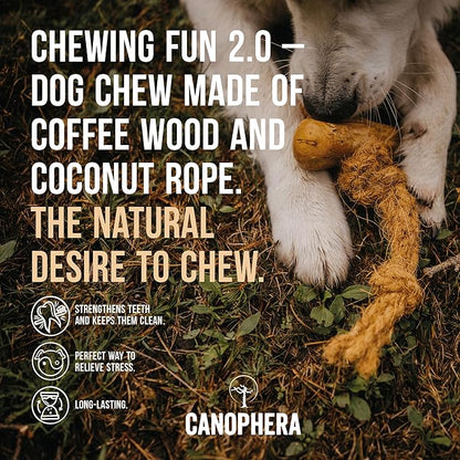 Canophera Dog CHEW Made of Coffee Wood and Coconut Rope (Medium)