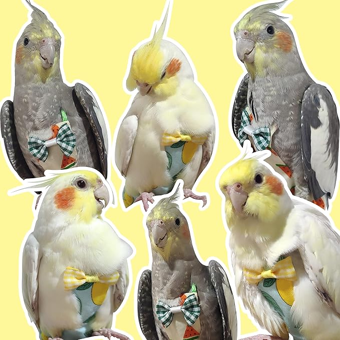 VANFAVORI Bird Diaper Harness Flight Suit Clothes with 80 Inch Flying Leash for Parrots Cockatiel Pet Birds Including A Cotton Pad, S Size, Yellow Checks