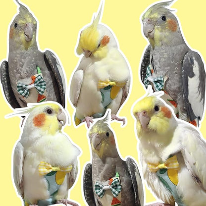 VANFAVORI Bird Diaper Harness Flight Suit Clothes with 80 Inch Flying Leash Rope for Parrots Conure Cockatiel Pet Birds Weight 80-105 Grams, M Size Denim, Including A Cotton Pad