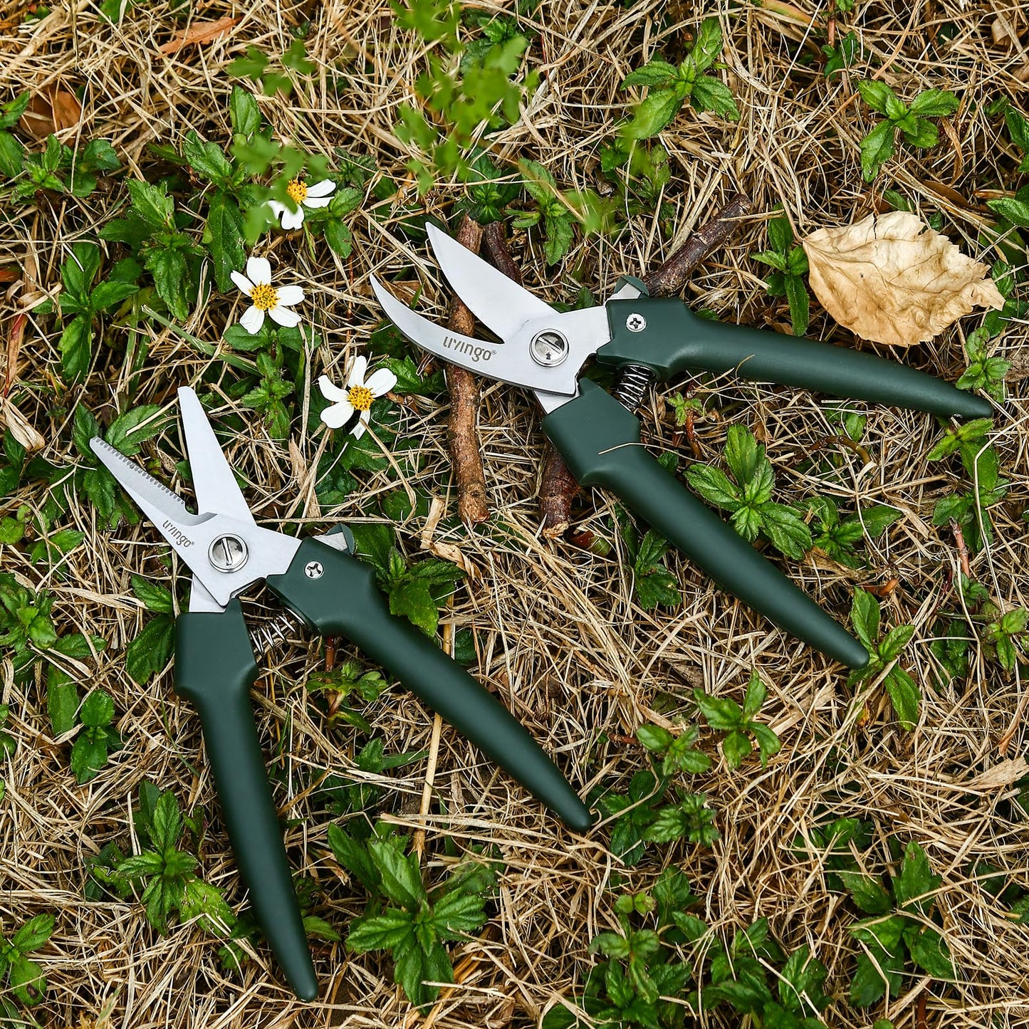 LIVINGO 7.5 Inch Garden Pruning Shears Set, Stainless Steel Straight & Curved Blades with Spring Lock, Hand Pruners for Trimming Plants, Flowers, Herbs and Small Branches
