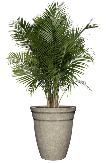 Classic Home and Garden Premiere Collection Planter, Allaire 12", Cloud Gray