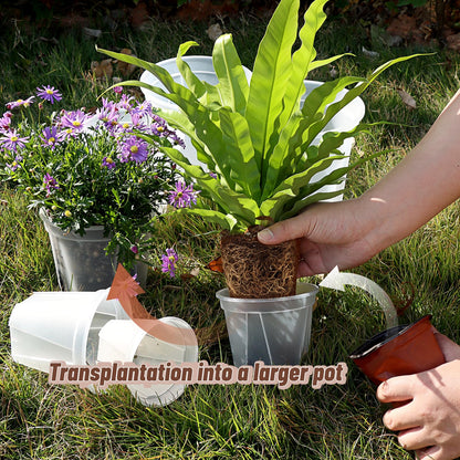 VIOBEPASS Clear Nursery Pots with Drainage, 40 Pack Transparent Plastic Orchid Planters, 3 Sizes Plant Pots 6/5/4 Inch with 40 Plant Labels for Seedlings, Succulents, Indoor/Outdoor Repotting