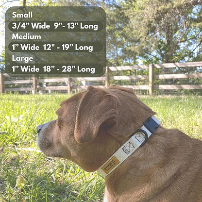 Pawsitive Hemp Dog Collar - Yellow Fall Dog Collar - Super Soft Hypoallergenic Lining. Great for Small, Medium and Large Dogs; Medium Yellow
