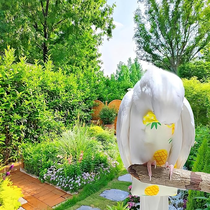 2Pcs Bird Diapers Bird Harness Flight Suits Diapers with 80 Inch Flying Leash Parrot Nappy Washable Cute Urine Wet Suit for Cockatiel Conure Macaw Budgies Parakeet-Rabbit&Pineapple,S
