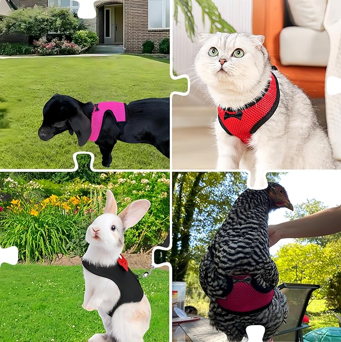 3 Pack Chicken Harness and Leash Set Adjustable Hen Vest with Matching Belt Breathable Mesh Training Harness Pets Leash for Hens Duck Goose Small Pet-Black&Red&Pink,S