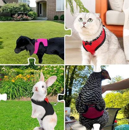 3 Pack Chicken Harness and Leash Set Adjustable Hen Vest with Matching Belt Breathable Mesh Training Harness Pets Leash for Hens Duck Goose Small Pet-Black&Red&Pink,S