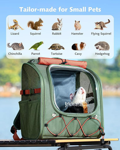 Pecute Small Pet Carrier, Breathable Guinea Pig Carrier with Transparent Bubble & Steel Frame, Safety Lock for Hamster, Rabbit, Bearded Dragon, Lizard, Ideal for Hiking, Vet Visits, Camping, Green