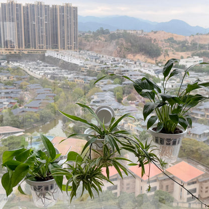 VirgoLeo Set of 3 Plastic Window Planter with Suction Cup Holder. Large Window Popagation. Clear Self Watering Window Mounted Plant Pots. Window Sill Planters Extender for Indoor Hydroponic Plants