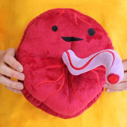 I Heart Guts - The Whole She-Bang Anatomy Bundle - Uterus Ovary Clitoris Vajayjay Placenta Female Anatomy OBGYN Medical Student Menstrual Education