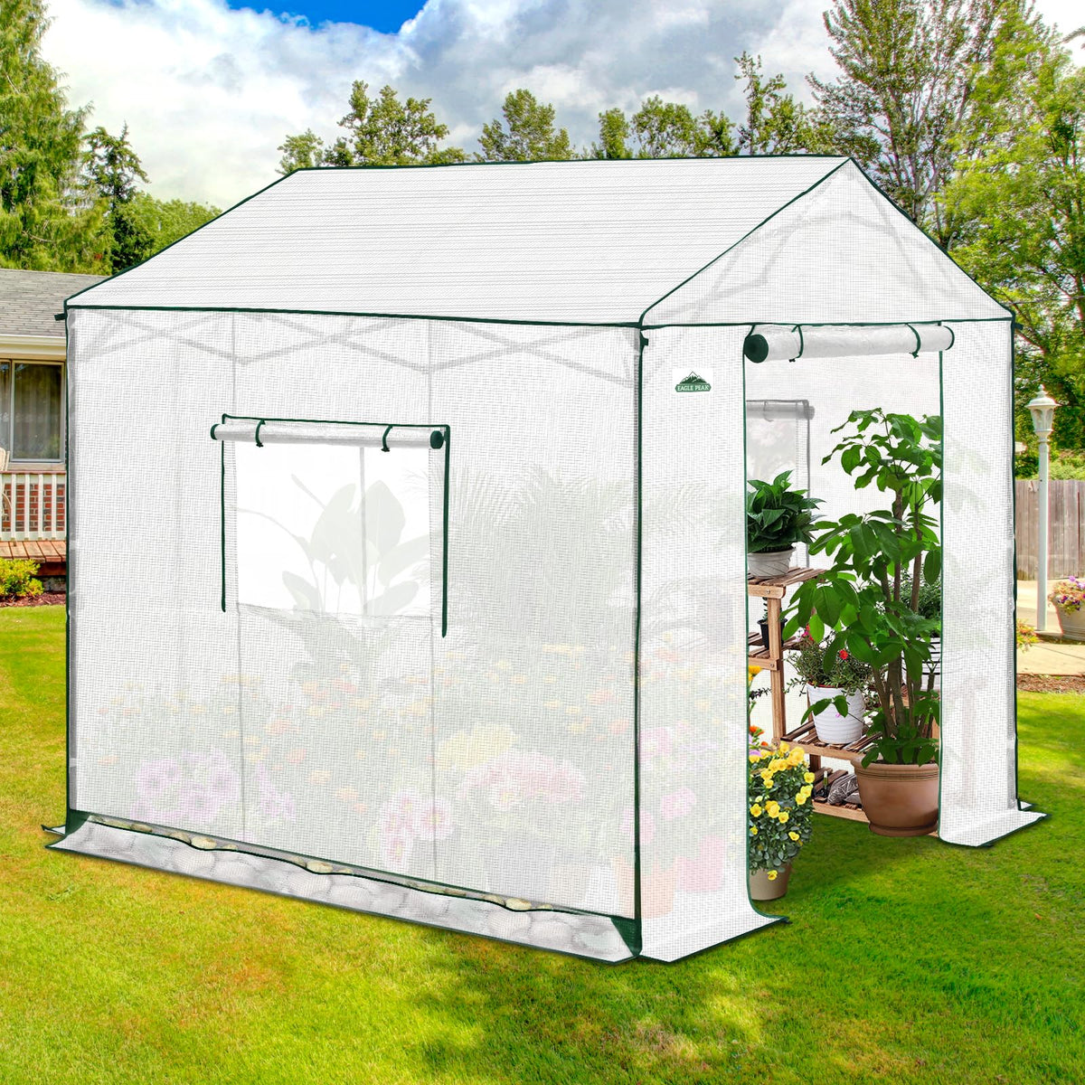 EAGLE PEAK 8x8 Portable Pop Up Greenhouse, Patented Center Lock Easy One Person Setup, Walk-in Outdoor Greenhouse with Gable Roof, Weight Bags, Zippered Doors & Windows, White