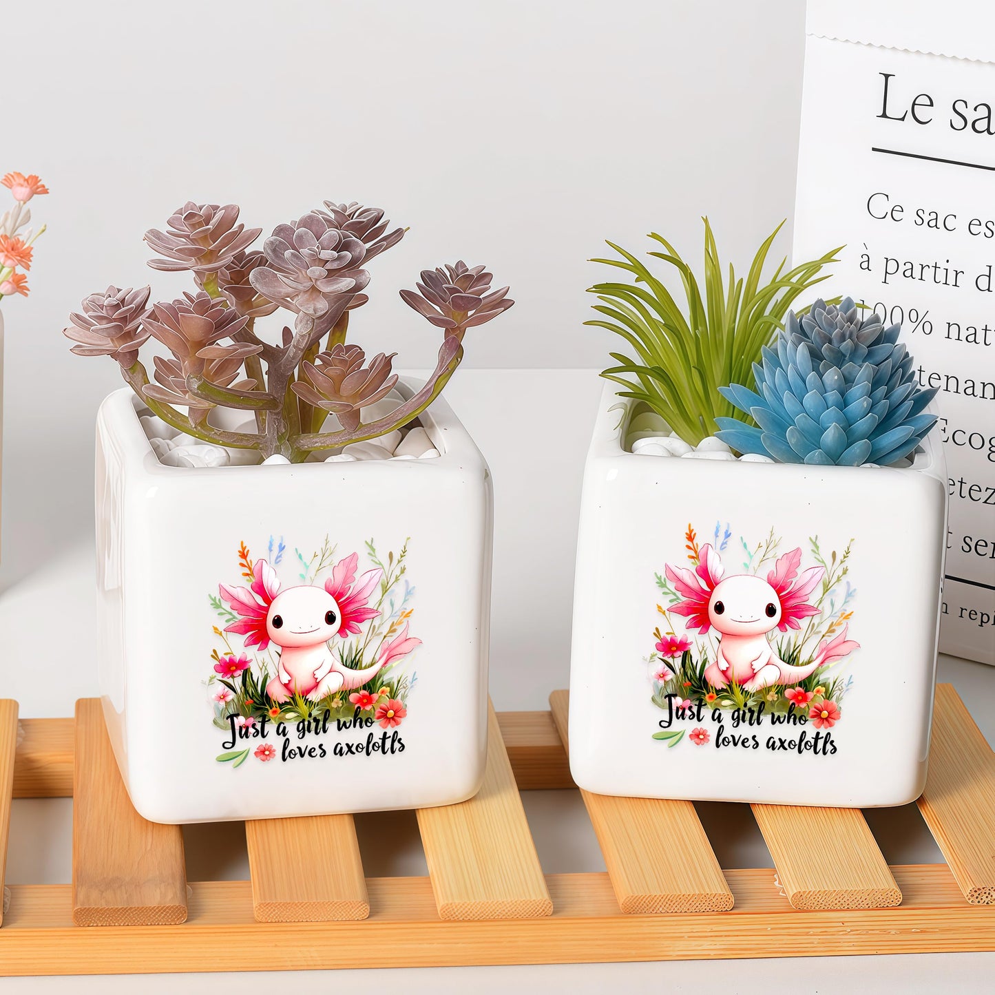 BJDAMAI Axolotl Succulent Planter Flower Plant Pot Small, Gifts for Women Teens Girls Kids, Axolotl Lovers Themed Stuff Accessories Things Decor Merch, Home Office Table Desk Decoration!
