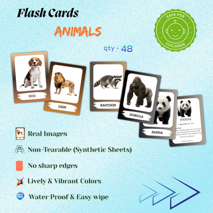 The Biblio Hub Animals Flashcards – Non-Tearable Synthetic Learning Cards for Toddlers, Preschool & Kindergarten, Double-Sided Set
