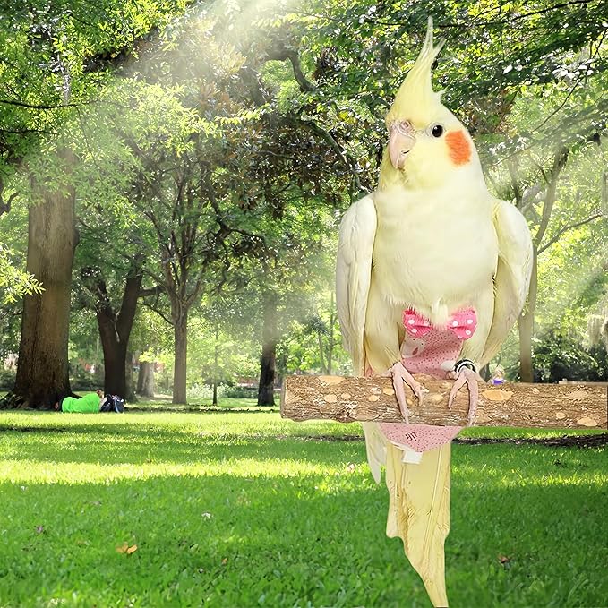 2Pcs Bird Diapers Bird Harness Flight Suits Diapers with 80 Inch Flying Leash Parrot Nappy Washable Cute Urine Wet Suit for Cockatiel Conure Macaw Budgies Parakeet-Rabbit&Pineapple,M