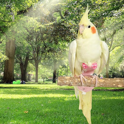 2Pcs Bird Diapers Bird Harness Flight Suits Diapers with 80 Inch Flying Leash Parrot Nappy Washable Cute Urine Wet Suit for Cockatiel Conure Macaw Budgies Parakeet-Rabbit&Pineapple,S