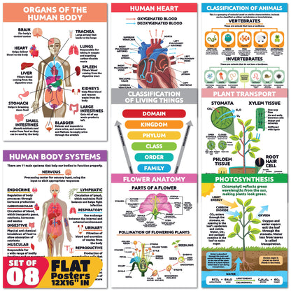 Sproutbrite 8 Pack 12” x 16” Educational Plant Cells & Human Body Science Posters for Classroom - Biology & Life Science Charts and Wall Decor for Pre, Elementary, Middle & Homeschool - Covers Essential Biology, Human Anatomy, and Life Science Topics